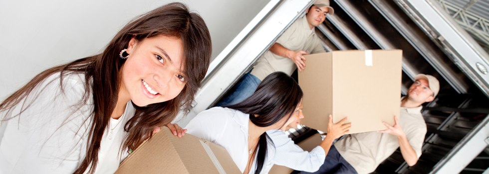 Professional Removalists Colly Blue